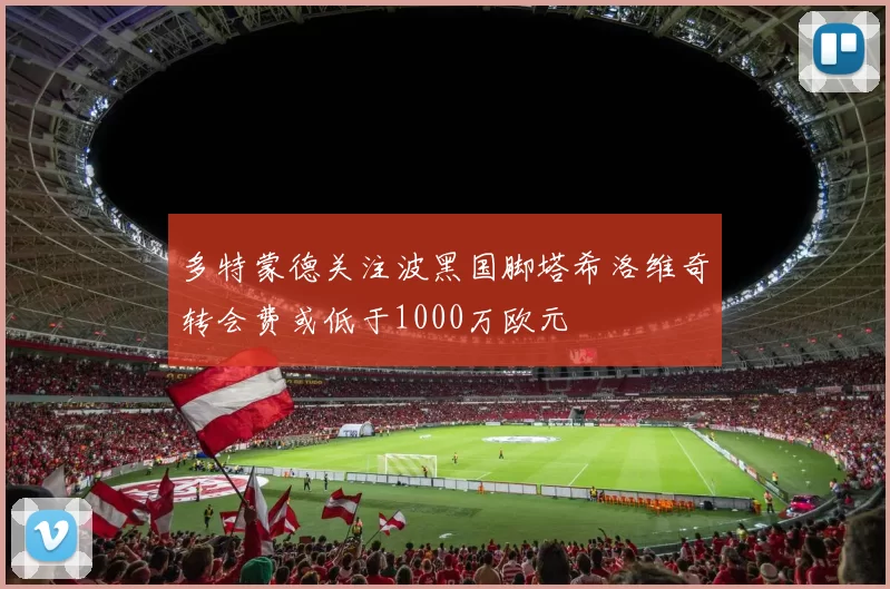多特蒙德关注波黑国脚塔希洛维奇转会费或低于1000万欧元